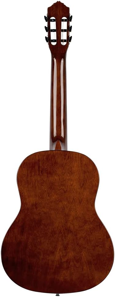 Ortega Student Series Full Size 6-String Nylon Classical Guitar, Gloss Spruce Top (RST5)