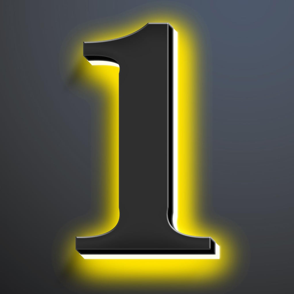 Backlit LED Illuminated House Numbers 20 Inch, Stainless Steel Hand-Polished For House Address Signs, Modern Light Up House Number, Metal Address Numbers With Lights,1