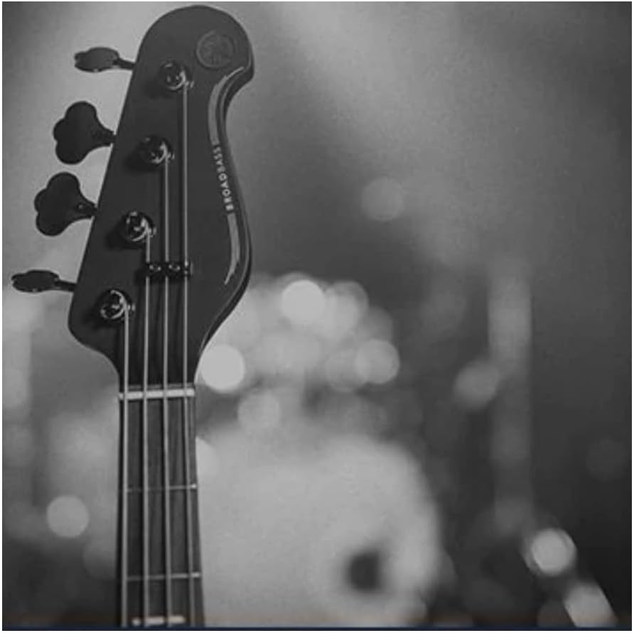 Yamaha BB235 BB-Series 5-String Bass Guitar, Black