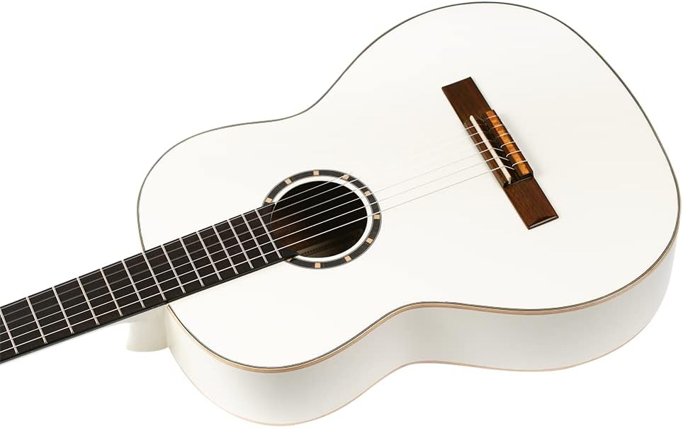 Family Series Full Size Nylon Classical Guitar w/Bag