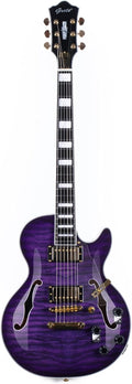 Professional electric guitar for adults and beginners Beginner Guitar(Purple)