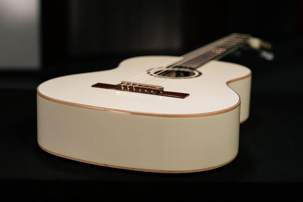 Family Series Full Size Nylon Classical Guitar w/Bag