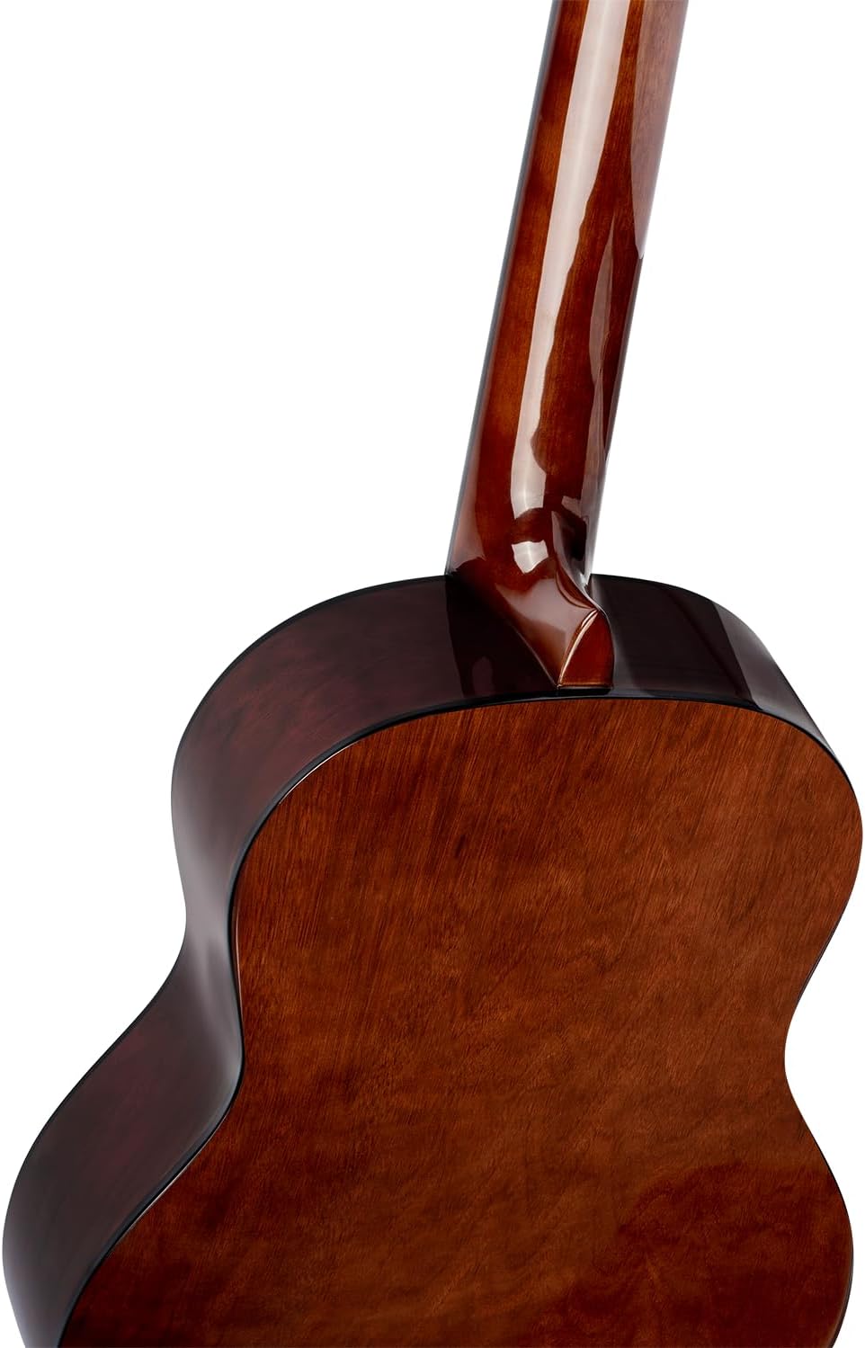 Ortega Student Series Full Size 6-String Nylon Classical Guitar, Gloss Spruce Top (RST5)