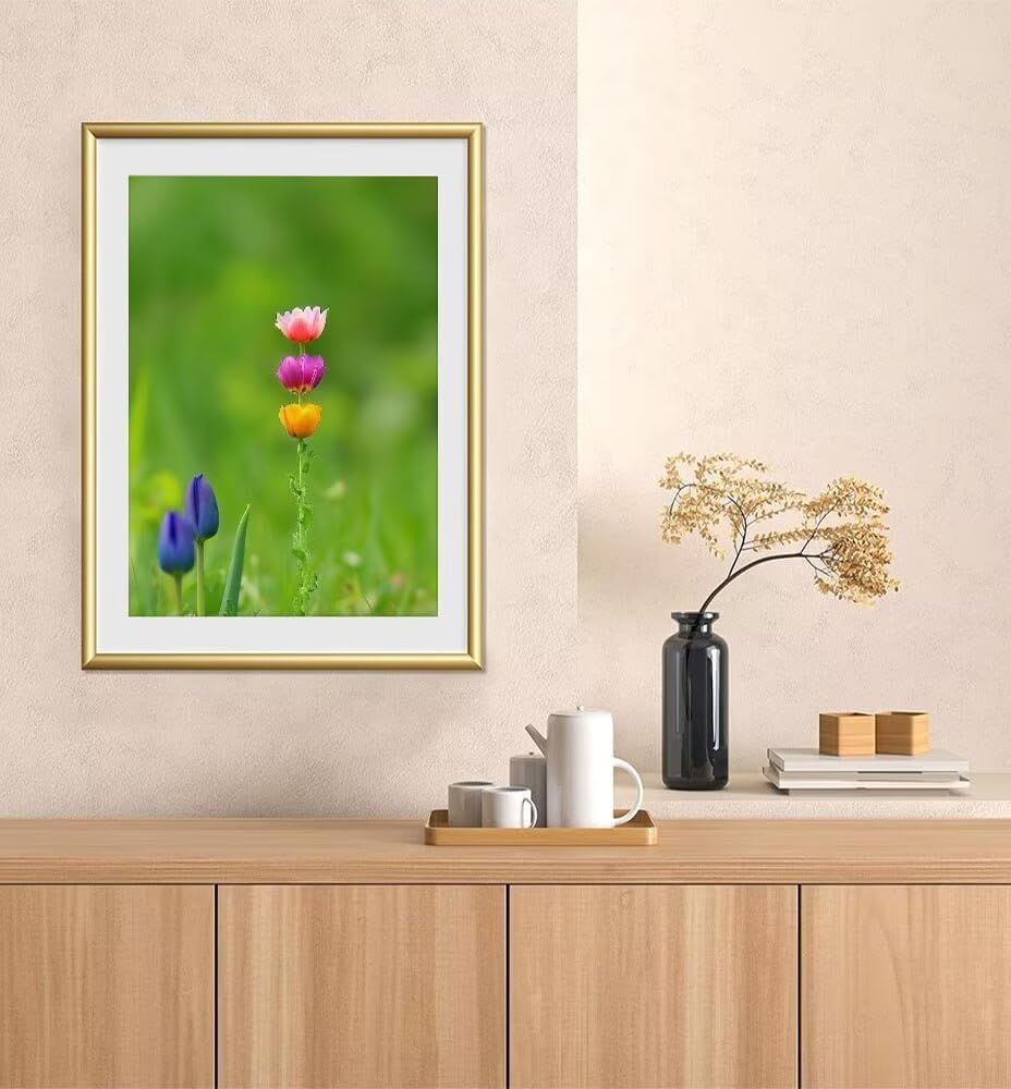 Paint by Number for Adults Flower Adult Paint by Number on Rolled Canvas Drawing Acrylic Paintwork DIY Crafts Without Frame Pink40x53 inch Model YEYUMEOZO-4