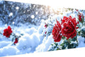 Red Rose Paint by Numbers Kit for Adults Frameless Flower Painting Kits for Adults Beginner DIY Acrylic Oil Paint pre Drawn Canvas with Brush Craft Picture for Home Wall Decor Gifts 100x200cm -8s9