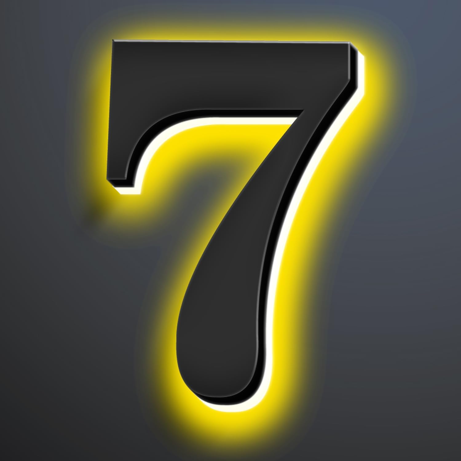 Backlit LED Illuminated House Numbers 20 Inch, Stainless Steel Hand-Polished For House Address Signs, Modern Light Up House Number, Metal Address Numbers With Lights,7