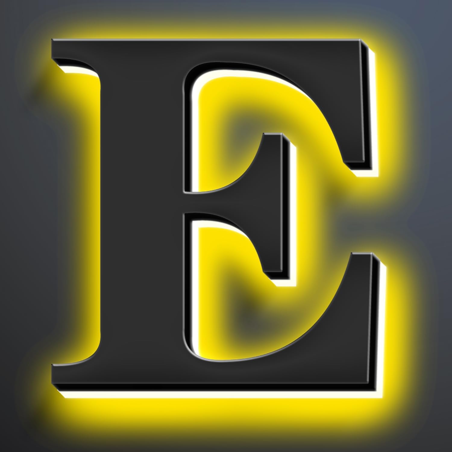 Backlit LED Illuminated House Numbers 20 Inch, Stainless Steel Hand-Polished For House Address Signs, Modern Light Up House Number, Metal Address Numbers With Lights,E