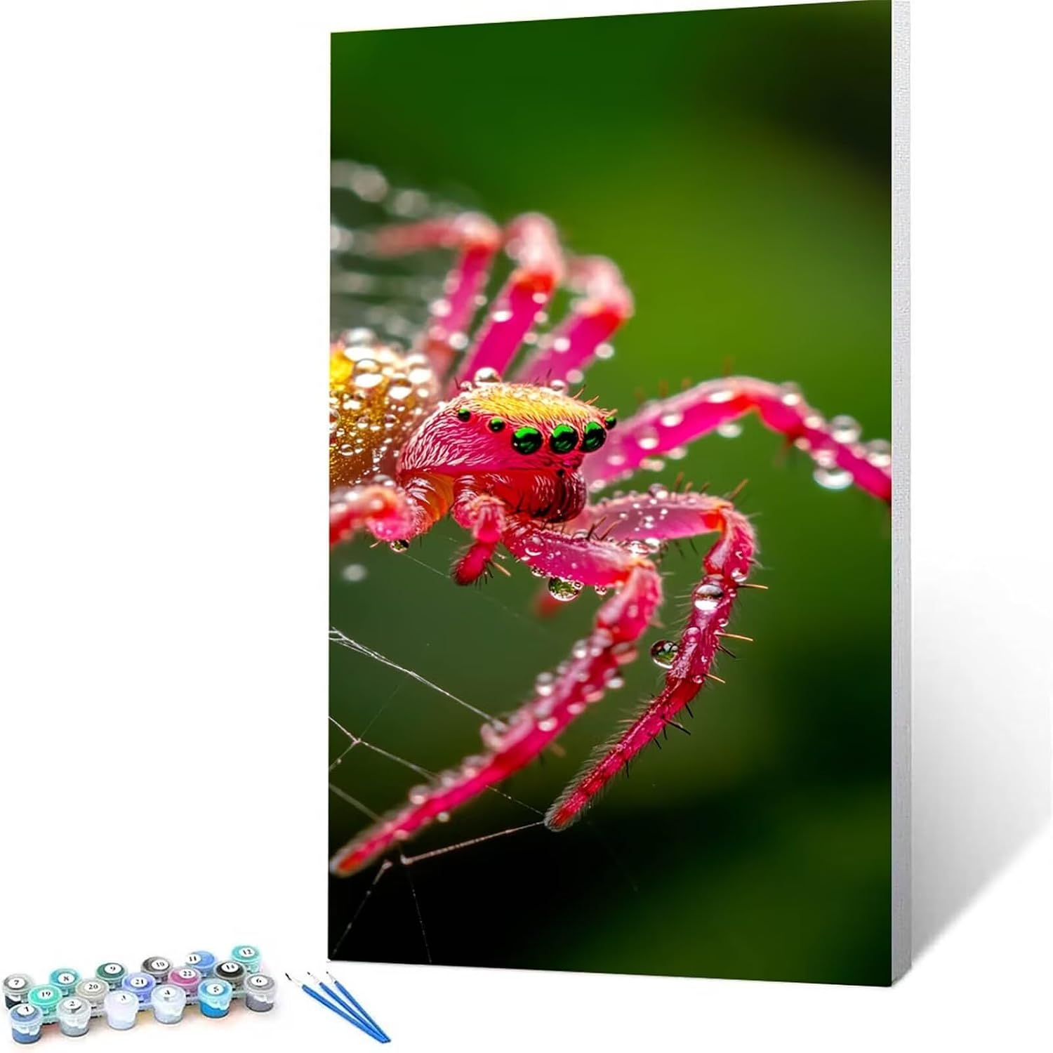 Paint by Number for Adults Spider DIY Painting by Numbers Kits Pink Adult Paint by Number Kits on Canvas Adults' Paint-by-Number Kits Paint by Numbers for Home Decor Wall Art Gift 36x72 in 4-V/W