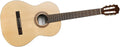 Cordoba CP100 Nylon String Guitar Pack