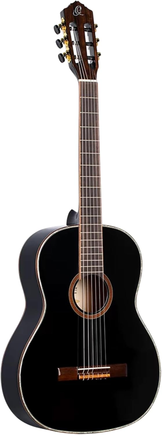 Family Series Full Size Nylon Classical Guitar w/Bag