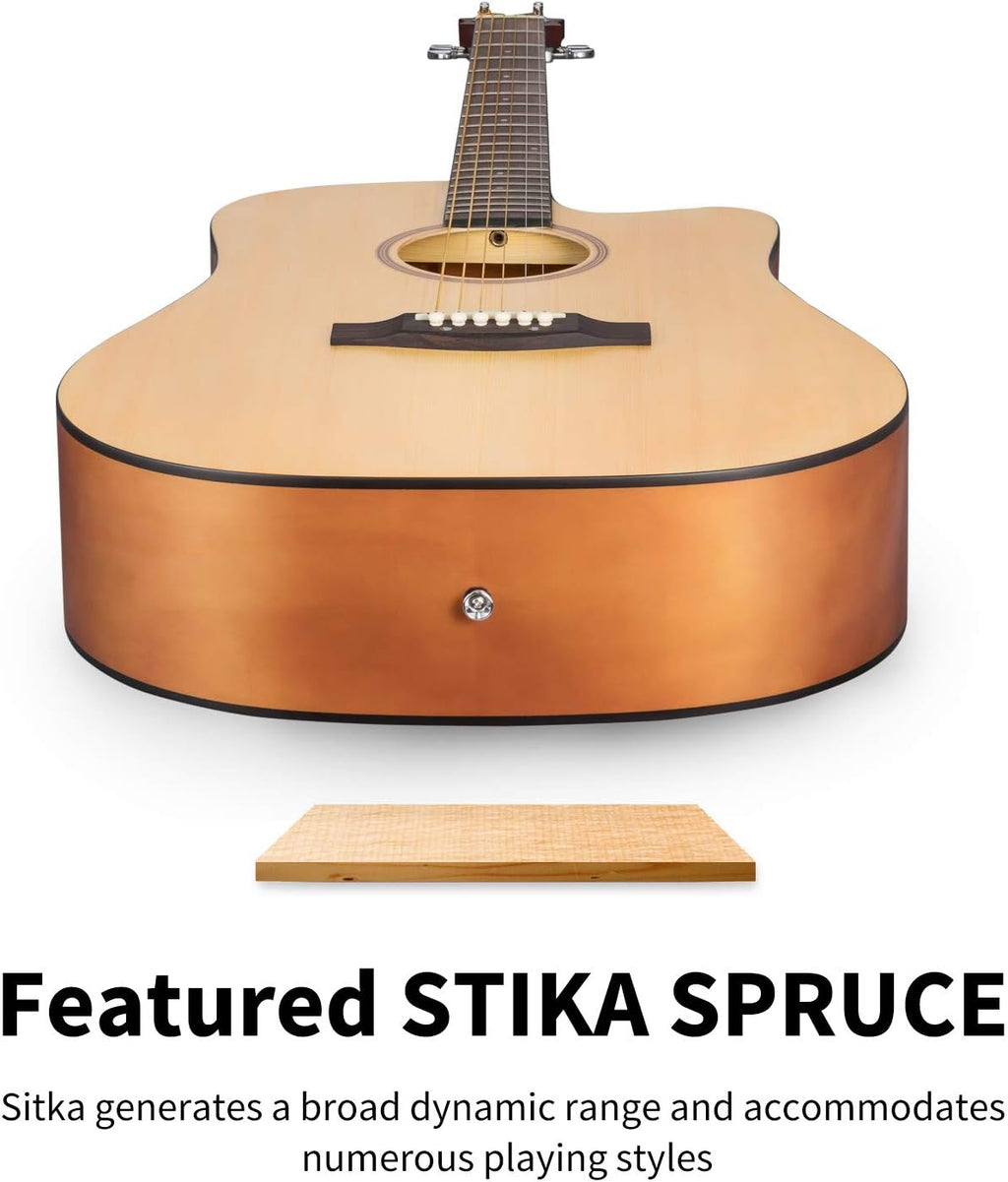 Donner Acoustic Guitar Kit-Guitar Strings