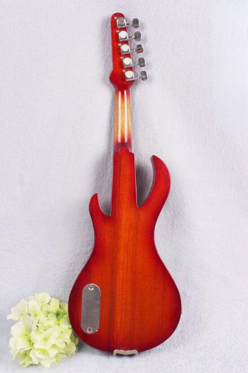 electric Viola 16 inch guitar-shaped Viola Solid Wood Body Ebony Fittings with case Bag, viola Bow, Rosin for Adults&Beginner&Students (Red 5str)