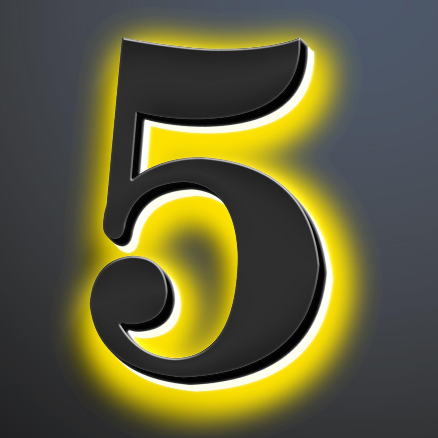 Backlit LED Illuminated House Numbers 20 Inch, Stainless Steel Hand-Polished For House Address Signs, Modern Light Up House Number, Metal Address Numbers With Lights,5
