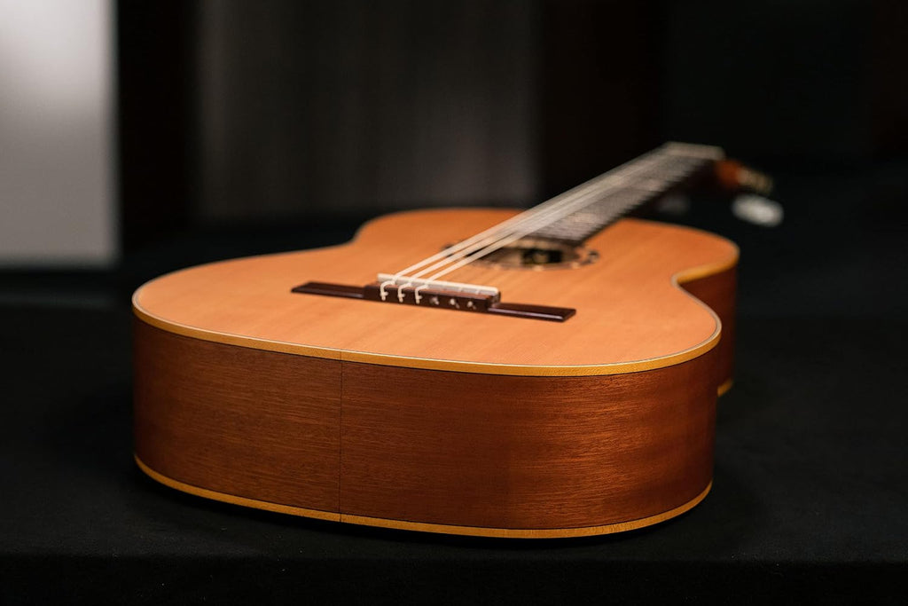 Family Series Full Size Slim Neck Nylon String Classical Guitar w/Bag