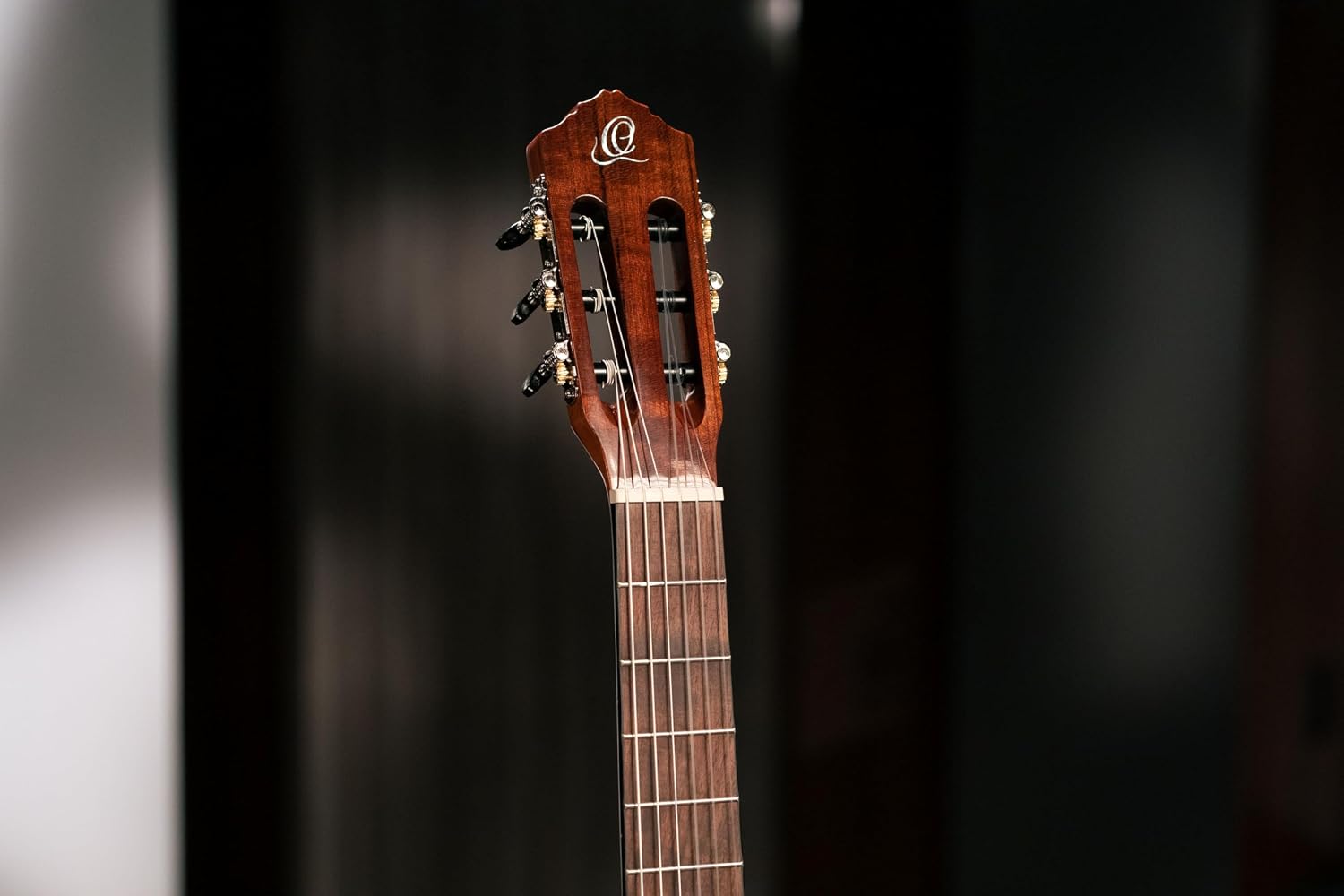Ortega Student Series Full Size 6-String Nylon Classical Guitar, Gloss Spruce Top (RST5)