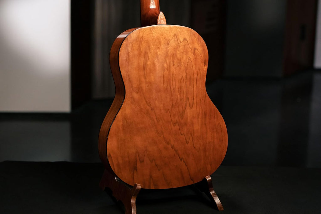 Ortega Student Series Full Size 6-String Nylon Classical Guitar, Gloss Spruce Top (RST5)