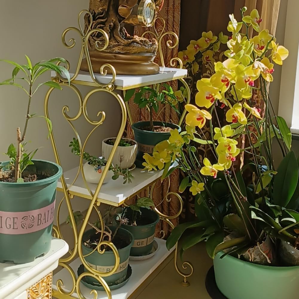 3-Tier Plant Shelf for Indoor,Rustic Wood Bookcase Shelf with Metal Frame,Rustic Storage Rack with Open Shelves for Living Room Bedroom and Balcony (Gold Frame+ White Shelf)