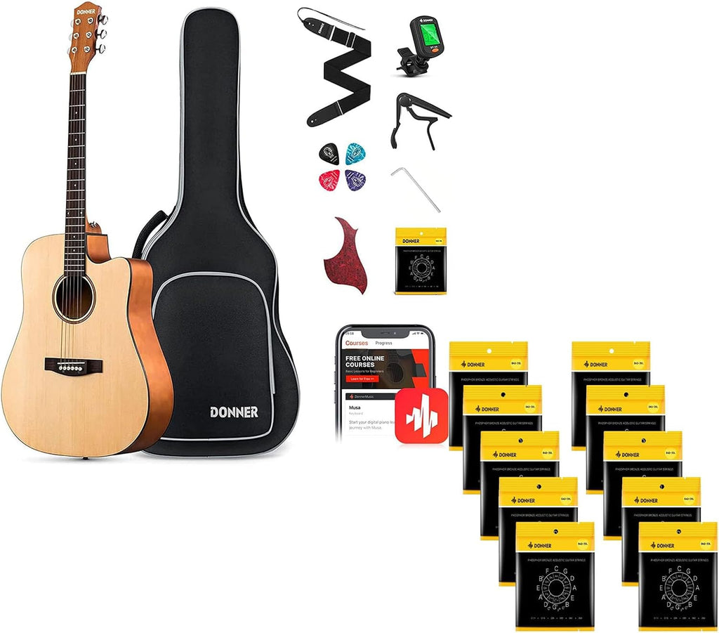 Donner Acoustic Guitar Kit-Guitar Strings