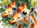 Giraffe Paint by Numbers Kit for Adults, DIY Painting by Numbers Leaves, DIY Canvas Wall Art Crafts for Adults with Paint Brushes and Acrylic, Spring Decor Art Supplies, Girl Gifts, 54x40in B-3549
