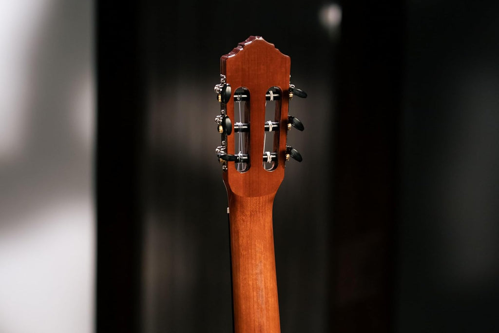 Ortega Student Series Full Size 6-String Nylon Classical Guitar, Gloss Spruce Top (RST5)