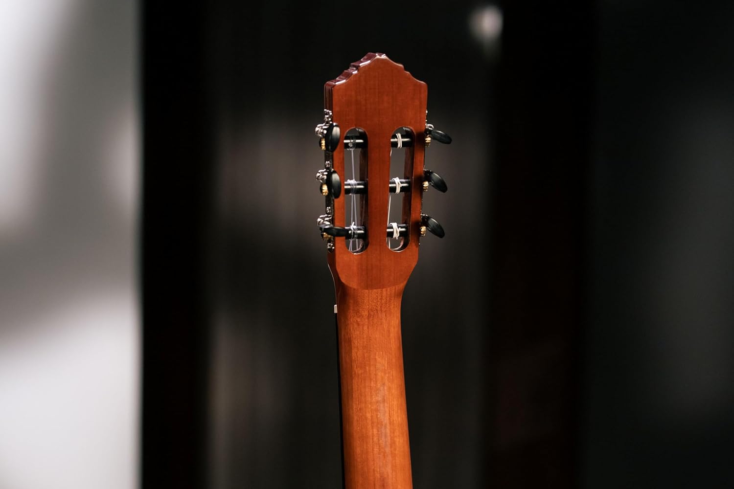 Ortega Student Series Full Size 6-String Nylon Classical Guitar, Gloss Spruce Top (RST5)