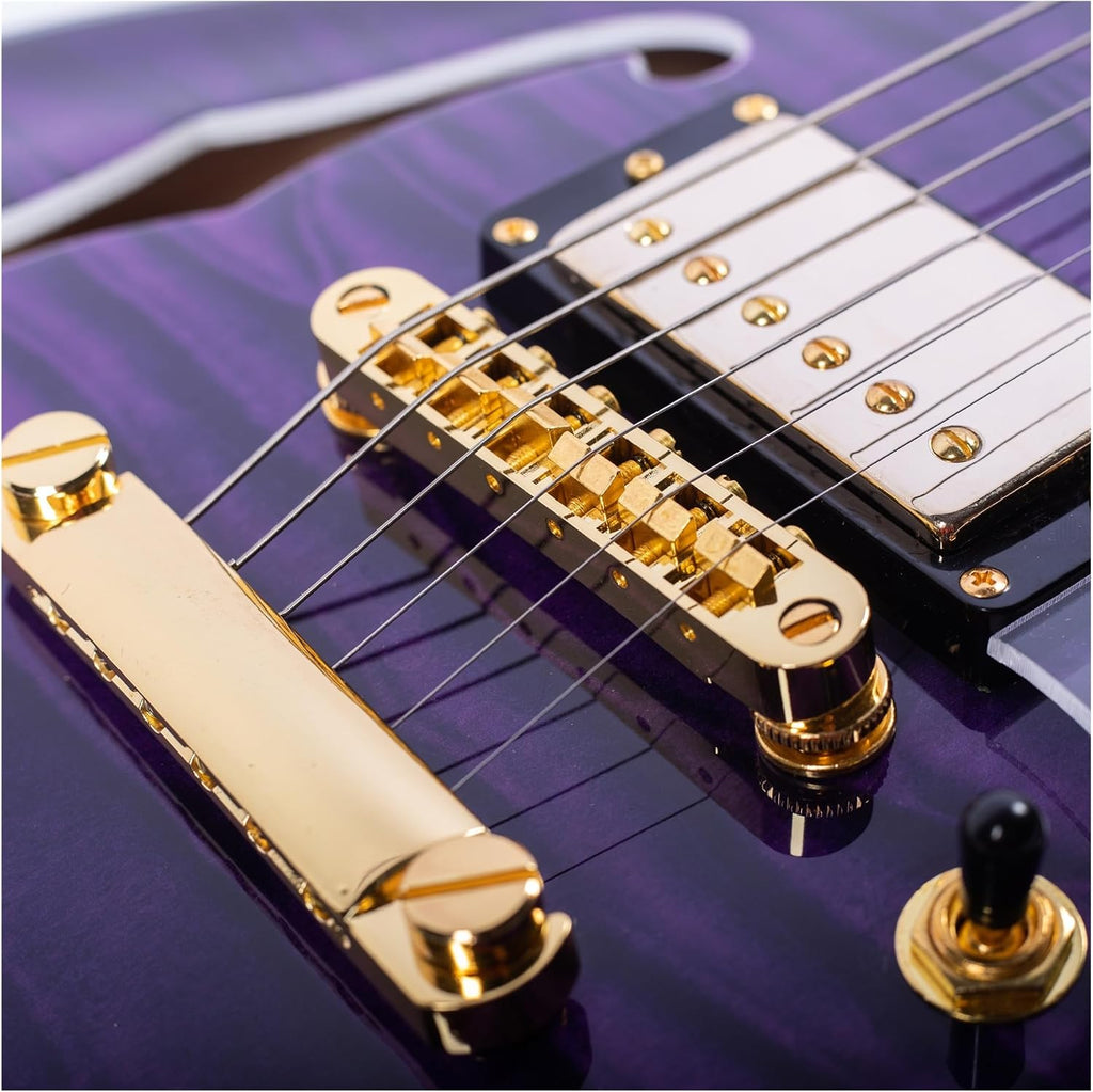Professional electric guitar for adults and beginners Beginner Guitar(Purple)