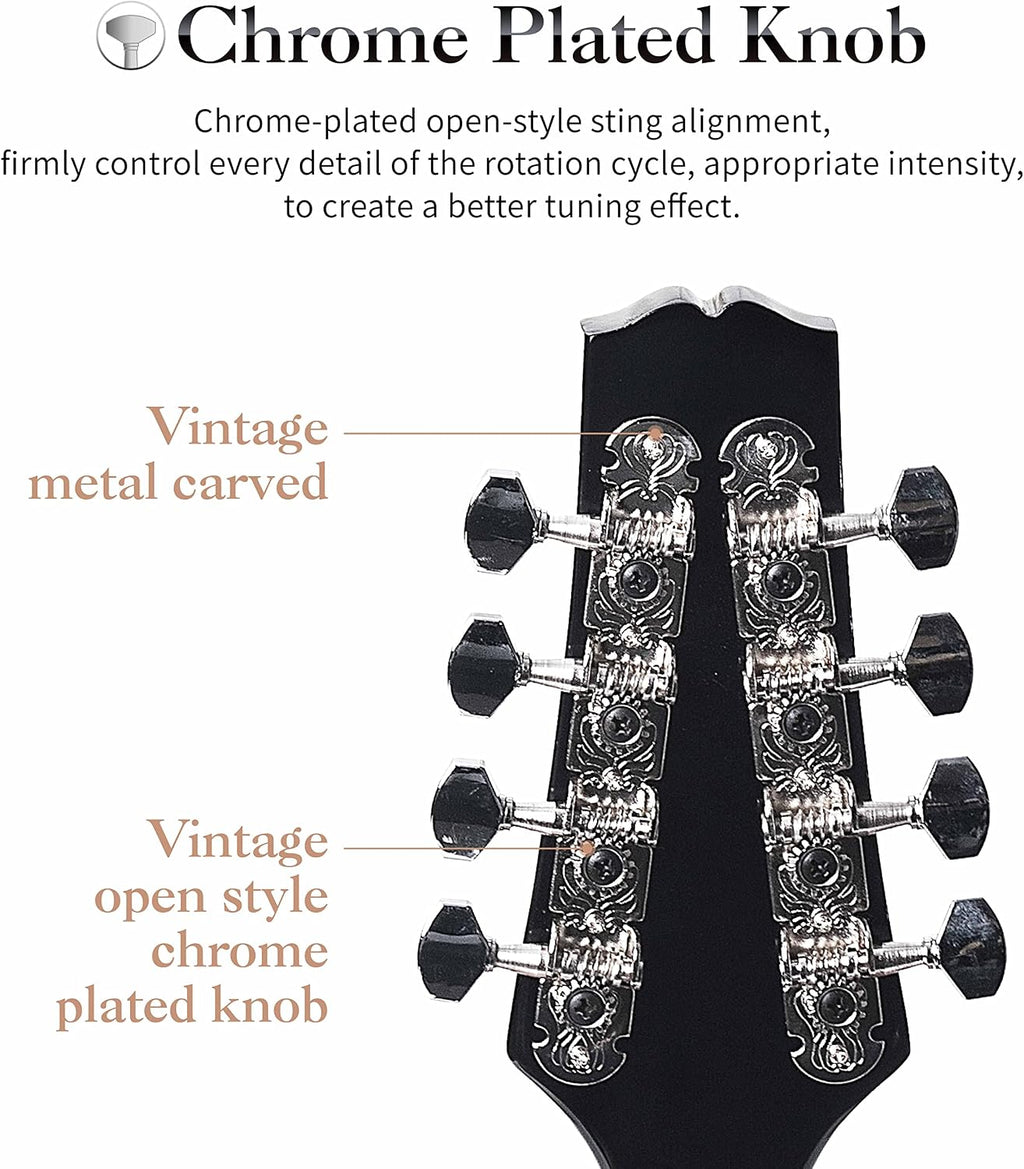 Mulucky A Style Mandolins Instrument, 8 String Acoustic Mandolin with Beginner Kit, Case, Tuner, String, Picks - Black