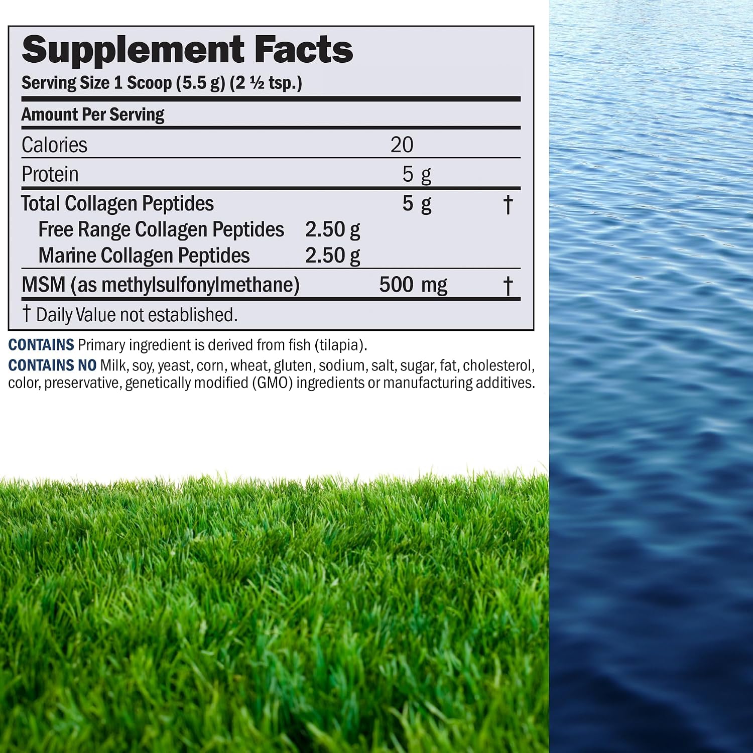 ANDREW LESSMAN Marine, Free Range Collagen Peptides Powder and MSM 240 Servings - Supports Radiant Smooth Soft Skin, Comfortable Joints. Super Soluble No Fishy Flavor No Additives Non-GMO